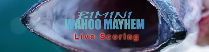 Live Scoring! | Meat Mayhem Bimini Wahoo Live Scoring | Live Scoring! | Meat Mayhem